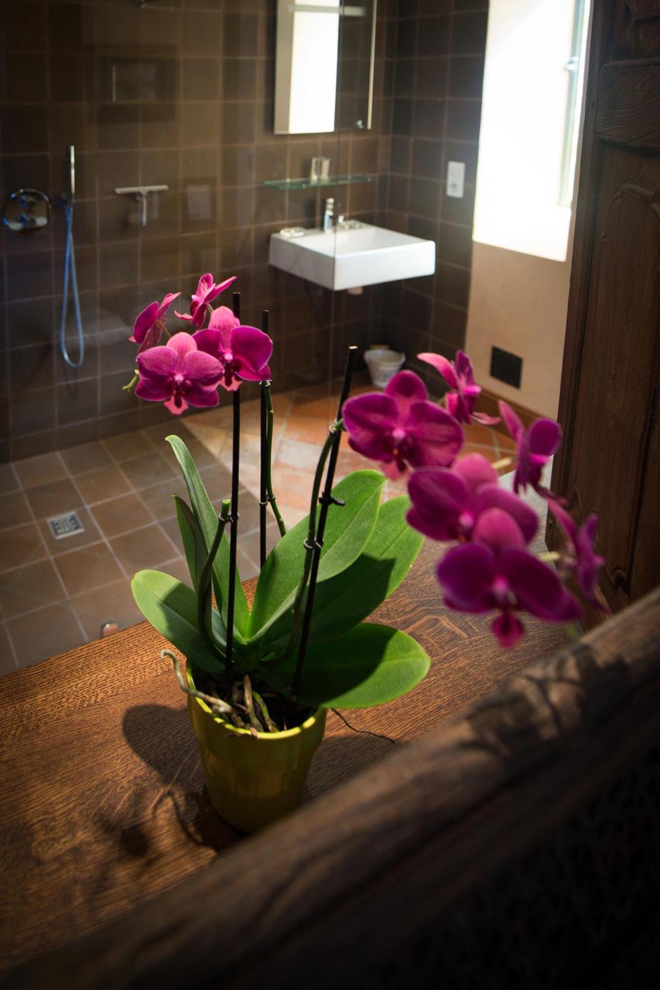 Chambres D'Hotes Domaine De Nazere Avezan Bilik gambar